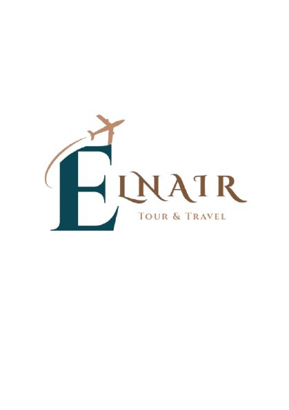 Elnair Logo
